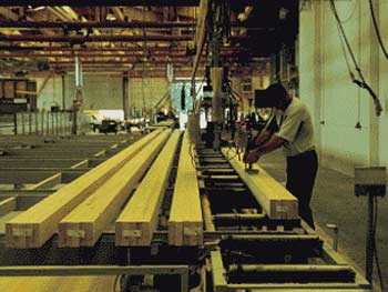 Production of gluelam in Germany